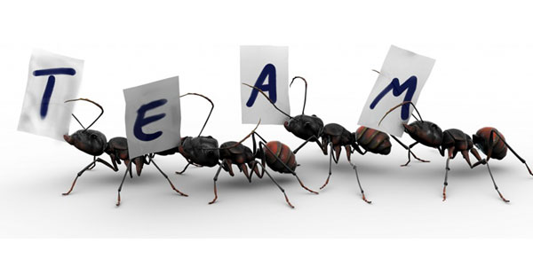 paver block manufacturers in chennai, paving blocks manufacturing in tamilnadu, Designer paver dealers in chennai, cylindrical concrete paver block manufacturers in chennai, interlocking paver block wholesalers in chennai, interlocking pavers block distributors in chennai, pavers block dealers in chennai, quality paver blocks manufacturer in Chennai, machine paver blocks manufacturers in Chennai, machine mould paver blocks manufacturers in Chennai, commercial paver block manufacturers in Chennai, Zig-zag paver blocks manufacturers in Chennai, Rectangular paver blocks manufacturers in Chennai,paver block manufacturers in chennai, paver block fixing contractors in chennai, concrete block manufacturers in chennai, rcc kerb stone manufacturers in chennai, kerb stone manufacturers in chennai, Rubbers moulded paver blocks in Chennai,  rubber moulded paver block manufacturers in chennai, kerb stone dealers in chennai, Petrol pump paver blocks in Chennai, petrol bunk pavers blocks in chennai, interlocking paver block dealers in chennai, concrete paver block manufacturers in chennai, paver block distributors in chennai, rubber mould for paver block manufacturers in chennai, interlocking paver block manufacturers in chennai, 3d paver blocks manufacturers in Chennai, reflecting paver block manufacturers in chennai, rubberised kerb stone manufacturers in chennai, machine mould kerb stone manufacturers in Chennai, road work pavers in chennai, road work paver blocks suppliers in Chennai, concrete bricks manufacturers in Chennai, concrete block making mould manufacturers in chennai, solid block manufacturers in Chennai, hollow block  manufacturers in chennai, paver block manufacturer in chennai, reflective paver block manufacturers, kerb stone directional manufacturers, paver block manufacturers, kerb stone reflective manufacturers, concrete block plain manufacturers, kerb stone precast manufacturers, interlocking concrete pavers block in chennai, paving blocks manufacturers in Chennai, concrete cover block manufacturer in Chennai, paver block manufacturer, standard paver block in Chennai,